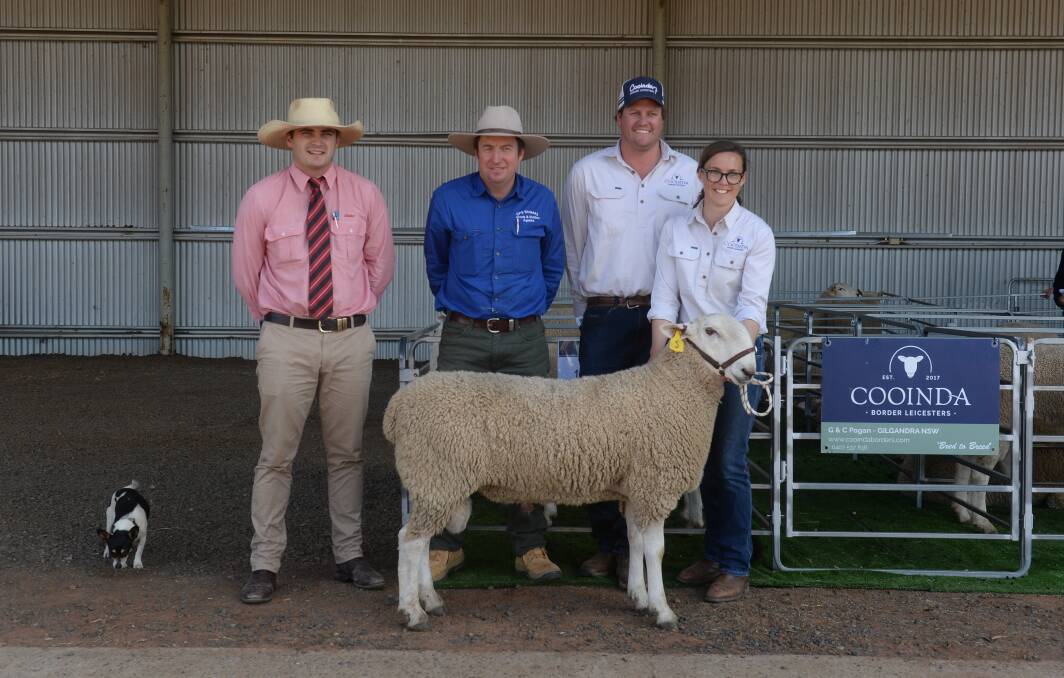 Hugh Shannon, Elders Dubbo, Bryce Thomas, CPS Thomas Ballhausen & Irvine, Dubo, and Cooinda's George and Cherie Pagan, Gilgandra, with the $4200 top priced ram. Photo: Kate Loudon
