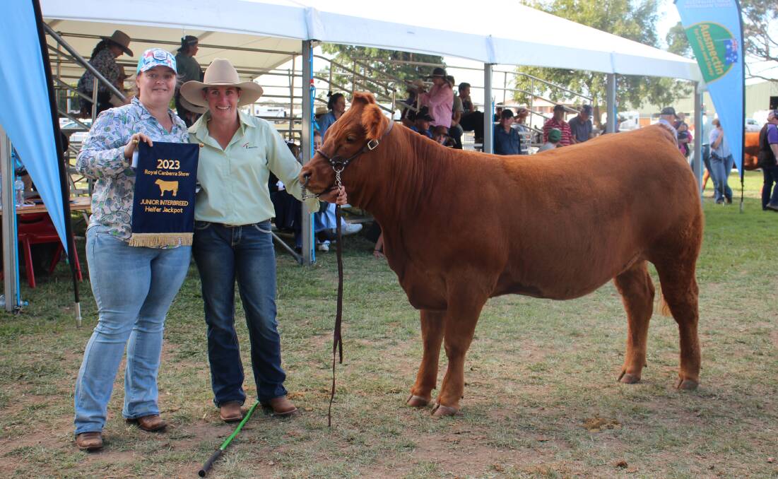 Show councilor and cattle committee secretary Emma McDonald, Thedore, Kylie Jonkers, Kyanne Limousins, Cowra, and the jackpot champion heifer Kyanne Rachel S8. Picture by Alexandra Bernard. 