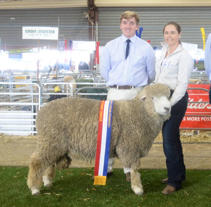 Tom in action at the NSW State Sheep Show, pictured with the champion Corriedale ram, held by Katrina Abbot, Boolina Corriedales, Bathurst