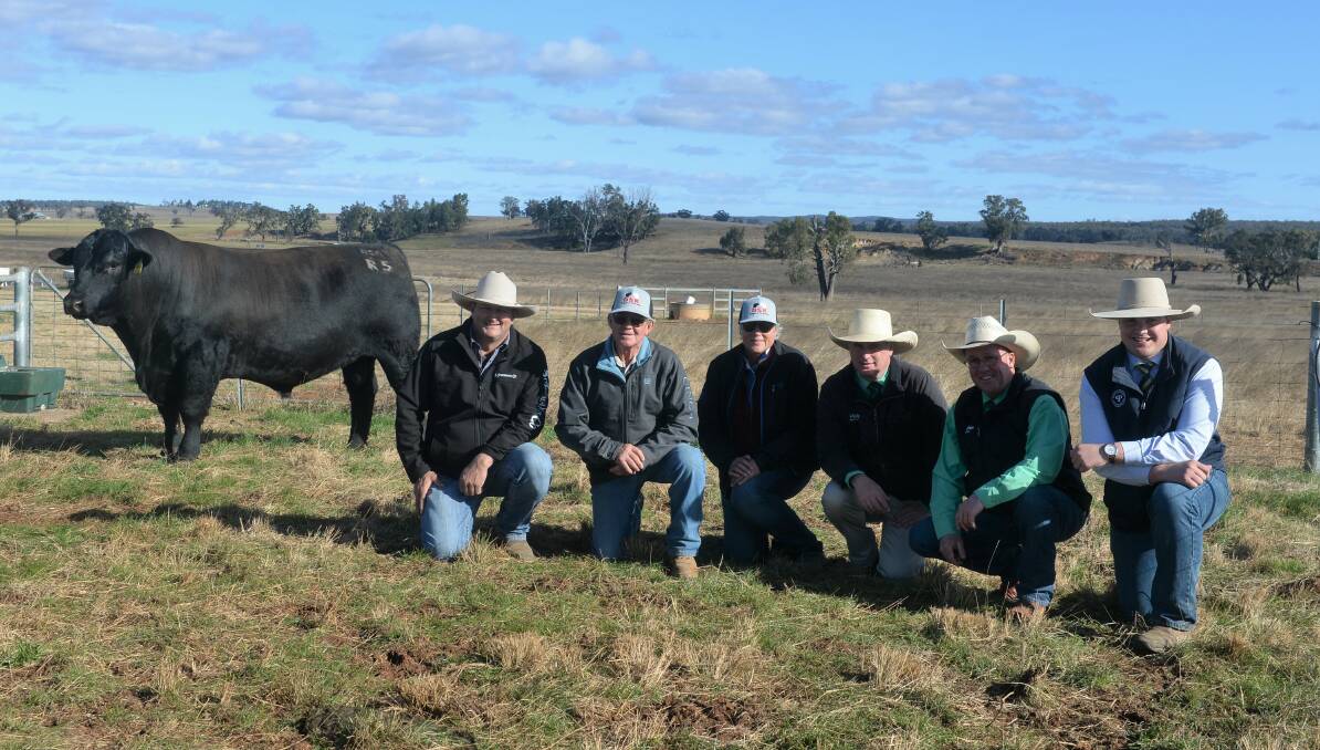 Equal top priced bull DSK TEL Rex R5 PV with purchaser Warren Miller, Hewitt Cattle Australia, Byong, vendors Chris and Helen Knox, DSK Angus and Charolais, Rocky Glen, auctioneer Peter Godbolt, Nutrien Stud Stock, Wagga Wagga, Scott Cooper, Nutrien Gunnedah, and Michael Purtle, Purtle Plevey Agencies, Manilla. Photo: Kate Loudon 