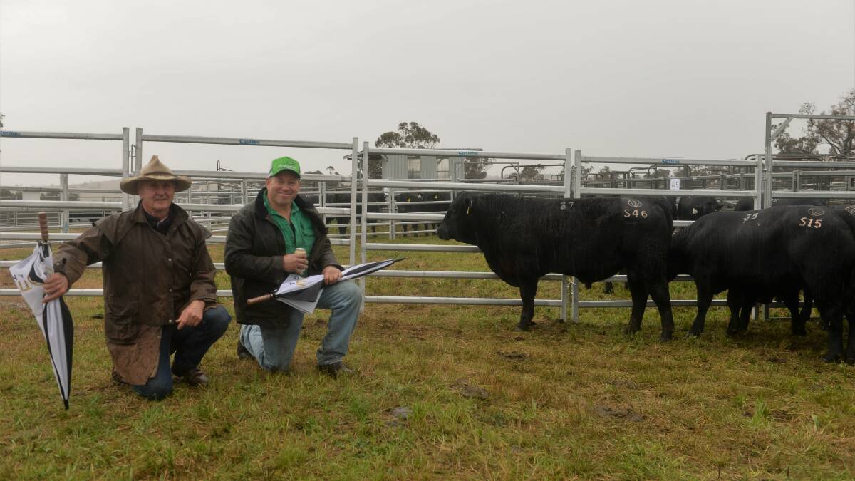 Top priced yearling bull Tivoli Prime Minister S46 with vendor Hugh Kraeft and purchaser Andrew Wallings, Cassalis. 