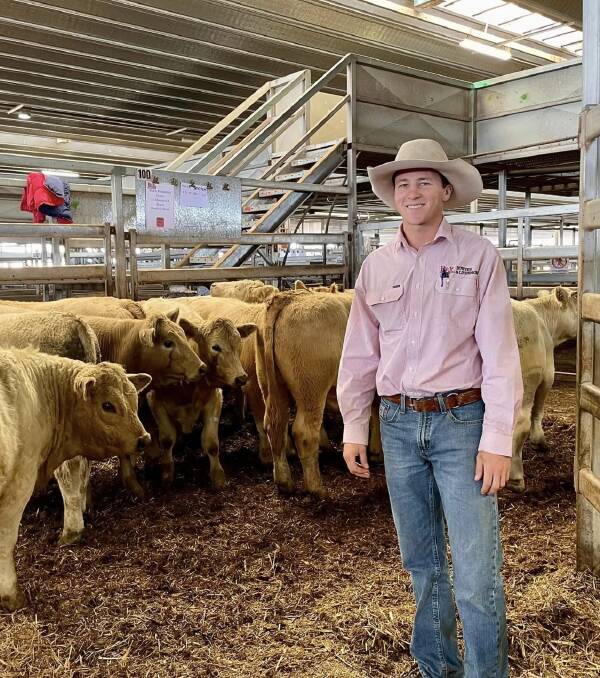 Harry Phillips with a pen of high selling steers at CTLX Carcoar sale. Photo: Supplied