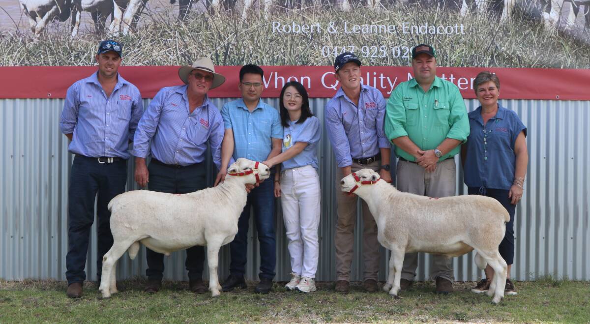 Red Hill's Ethan and Robert Endacott, purchasers Harry and Li Xiu Jiang, Ovatechnology Animal Husbandry, inner Mongolia, Josh Toole, Brad Wilson, and Lynn Marais, Ovatec, Dubbo, with the equal top-priced rams. 