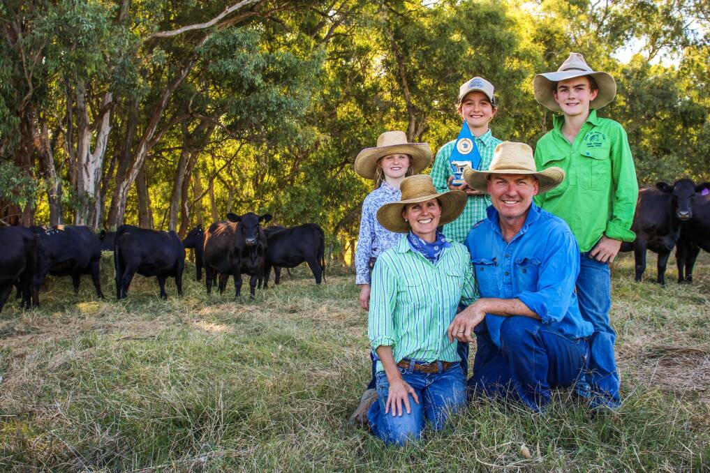 Melinda and Will (kneeling), and Harriet, Annabelle and George McCrohon, Holbrook, with a portion of their Angus heifers. Photo: Alexandra Bernard