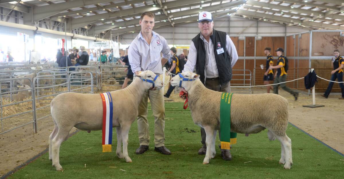 The champion and reserve White Suffolk rams with owners Cameron and Brett Bicker, Rocdell White Suffolk stud, Bigga.