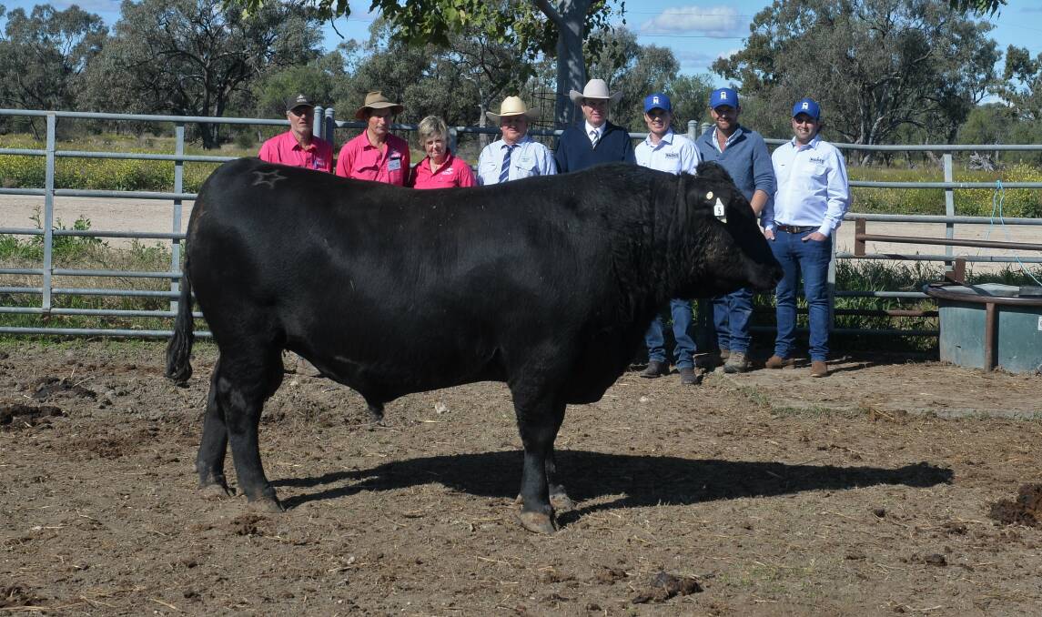 HIGH DOLLAR: The $65,000 top-priced bull Te Mania Reno R891 with James McCormack, Hamish, and Amanda McFarlane, Te Mania, Chris Clemson, Clemson Hiscox and Co, Walgett, Paul Dooley, Tamworth, and purchasers Jack Mackenzie and Joel Muddle, Macka's Beef, Gloucester, with agent Rodney McDonald, Bowe and Lidbury, Maitland.