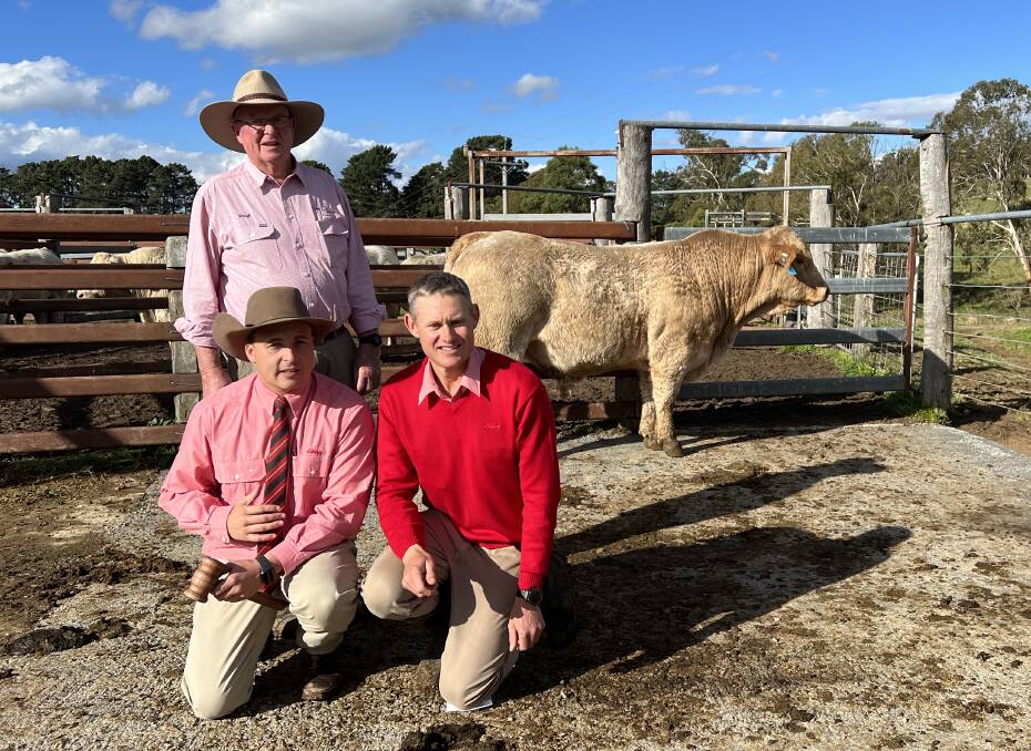 Top priced bull: $17,000 Violet Hills Reyd with stud principal, Daryl Jenkins, auctioneer Lincoln McKinlay, and Andrew Bickford, both of Elders.