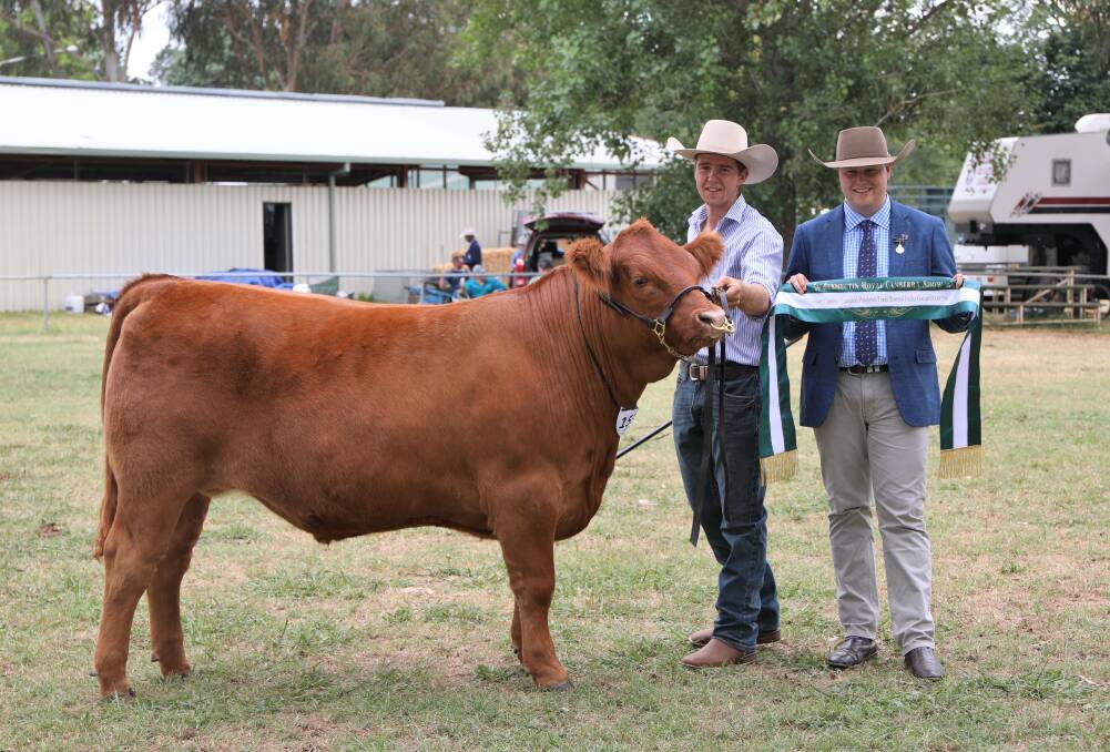 Reserve champion purebred/trade steer or heifer, Myers Boom Boom, exhibited by Jacob Kerrisk, JC Cattle Co, Coolamon, with judge Jack Laurie, Breeder Genetics, Moppy. Photo: Kate Loudon