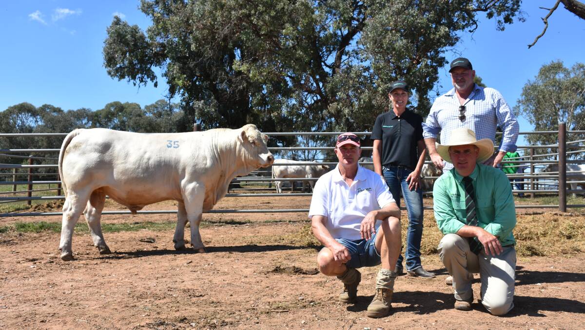 Equal top priced bull: Huon Royce with Graeme Cook, Rangan Charolais, Wodonga, purchasers Samantha ODonnell and Lynton Harrison, Belbourie Park Charolais, Yea, and auctioneer Peter Godbolt, Nutrien Stud Stock, Wagga Wagga.
Photo: Supplied