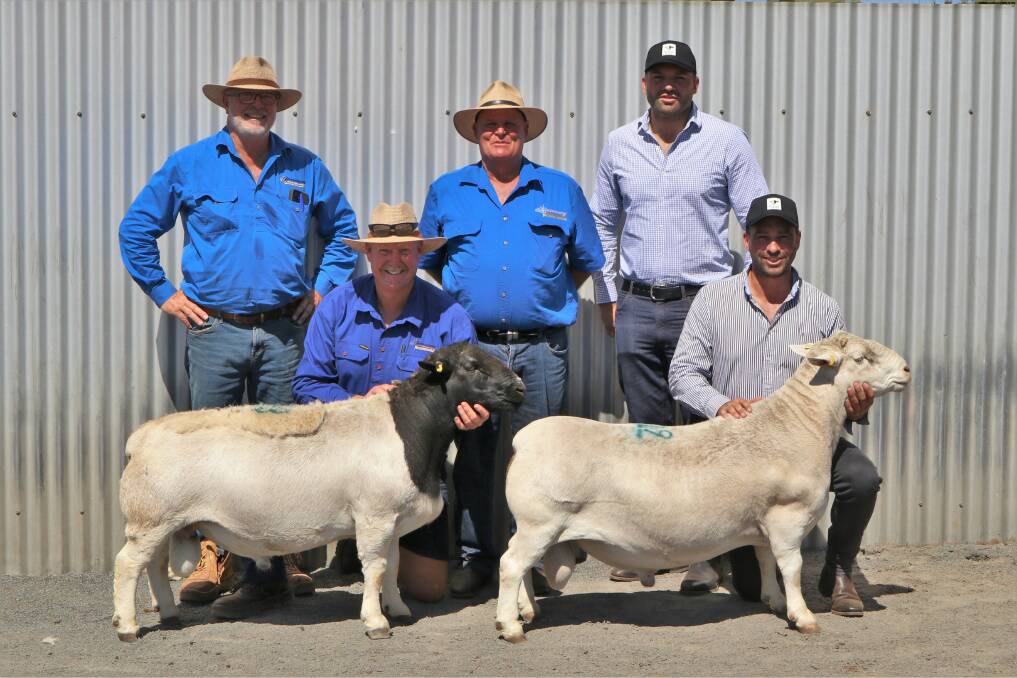 Graham Pickle, Wicus Cronje, and Mal Brady, all of Burrawang Dorper and White Dorper stud, Ootha, with successful purchasers James and Luke Hardwick, Deepdale, West Toodyay, WA, with $42,000 Cowboy Dorper 191253 and $62,000 World record breaking ram Trump WD 191472. Photo: Kate Loudon