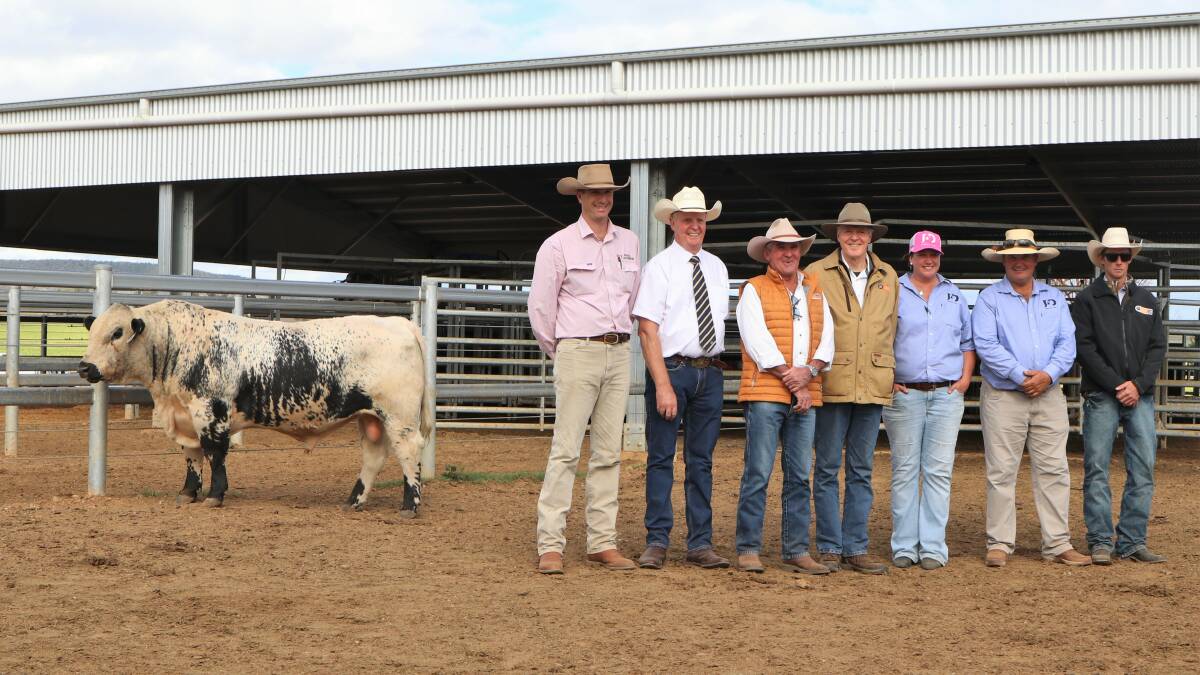 Top priced bull: $55,000 JAD Rare Cat R109, with Bowyer and Livermore's, Todd Clements, Bathurst, auctioneer, Brian Leslie, Dairy Livestock Services, Arcadia, Vic, purchasers Dennis Powers, David Reid, and Troy Frazer (right), all of Minnamurra Speckle Parks, Coola, and vendors Justin and Amy Dickens, JAD Speckle Parks, Yeoval.
Photo: Charlotte Davis