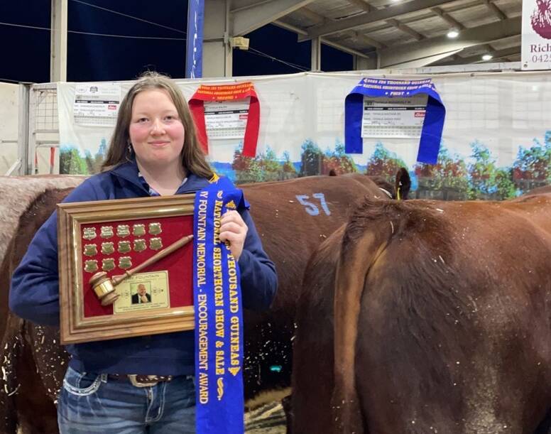 Eliza Ham with the Tony Fountain Memorial Trophy at this years National Shorthorn Show and Sale. Photo: Supplied
