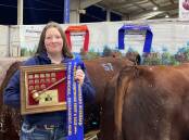 Eliza Ham with the Tony Fountain Memorial Trophy at this years National Shorthorn Show and Sale. Photo: Supplied