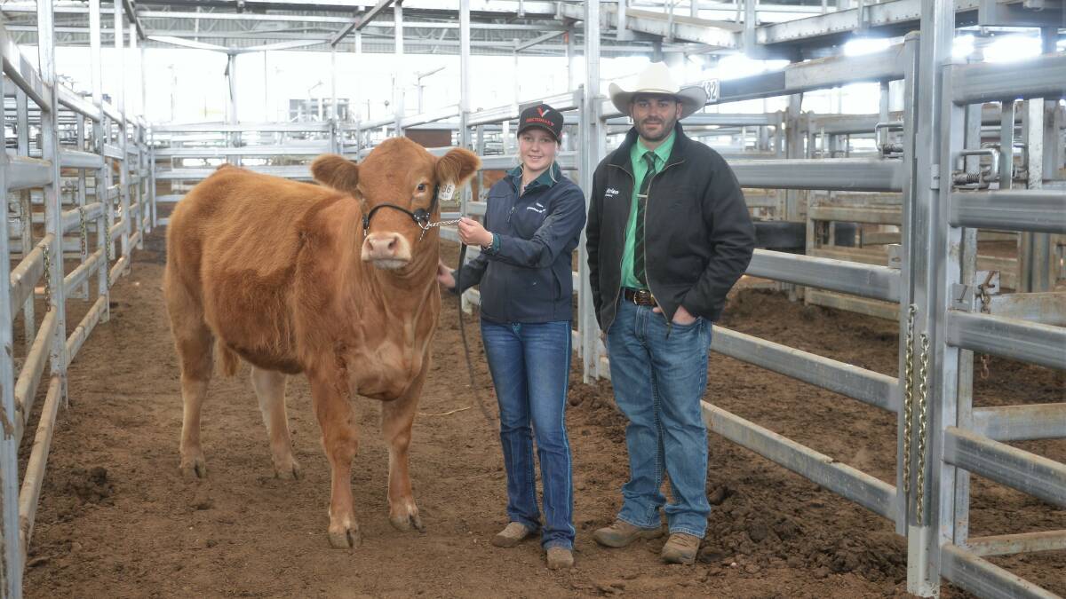 Top price heifer: $9000 Biz Riddle Magic with vendor Chloe Bisley, Biz Livestock, Wingham, and auctioneer Chris Dobie, Nutrien Scone. 