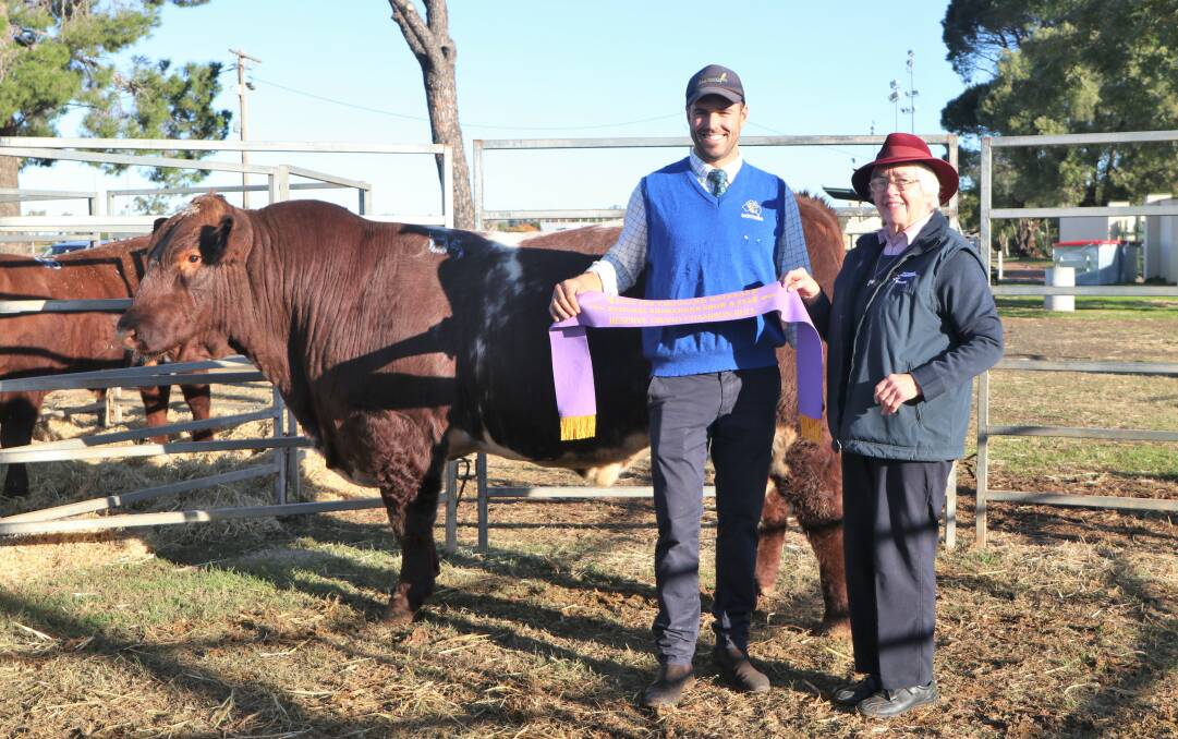 Vendors Alex and Janine Williams, Caskiben Shorthorns, Carisbrook, Vic, with the champion unled and reserve grand champion bull.
