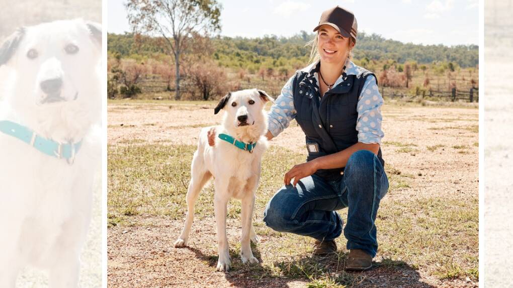 Wilcannia's Lily Davies Etheridge stars in season two of ABC Australia program, Muster Dogs, with Australian Border Collie pup, Snow. Picture by ABC Australia via Muster Dogs.