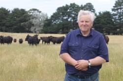 David Cocking, Gwingalla Pastoral, Terang has had a positive year, despite the El Nino weather pattern declaration, and is hopeful that translates to a good weaner sale season. Picture by Philippe Perez