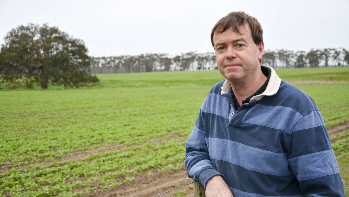 Nicon Rural Services consultant and livestock producer Cam Nicholson, Geelong believes farmers need to make sure farmers do not make any hasty decision post-flood event. File Picture. 