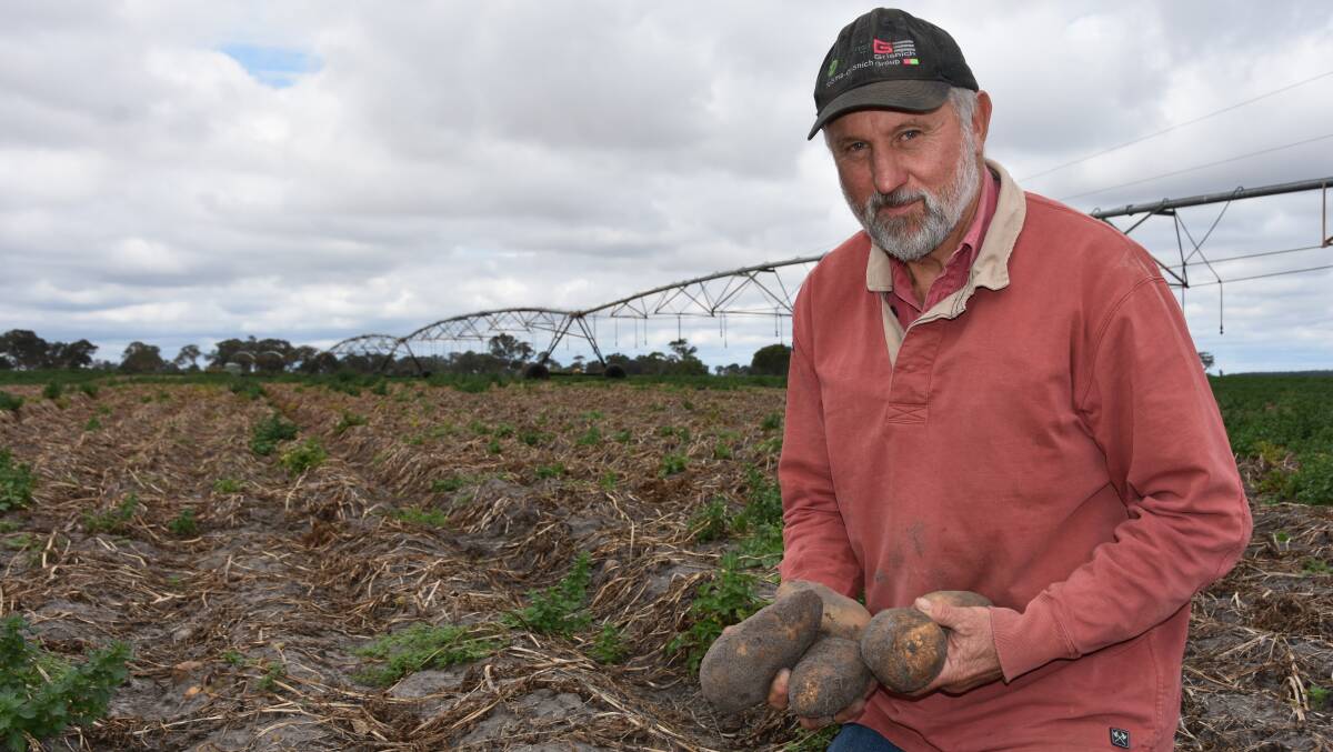 Mingbool potato grower Terry Buckley is hopeful the current spud supply shortage will soon be over, as harvest will kick off across the country in the coming months. Picture by Catherine Miller.