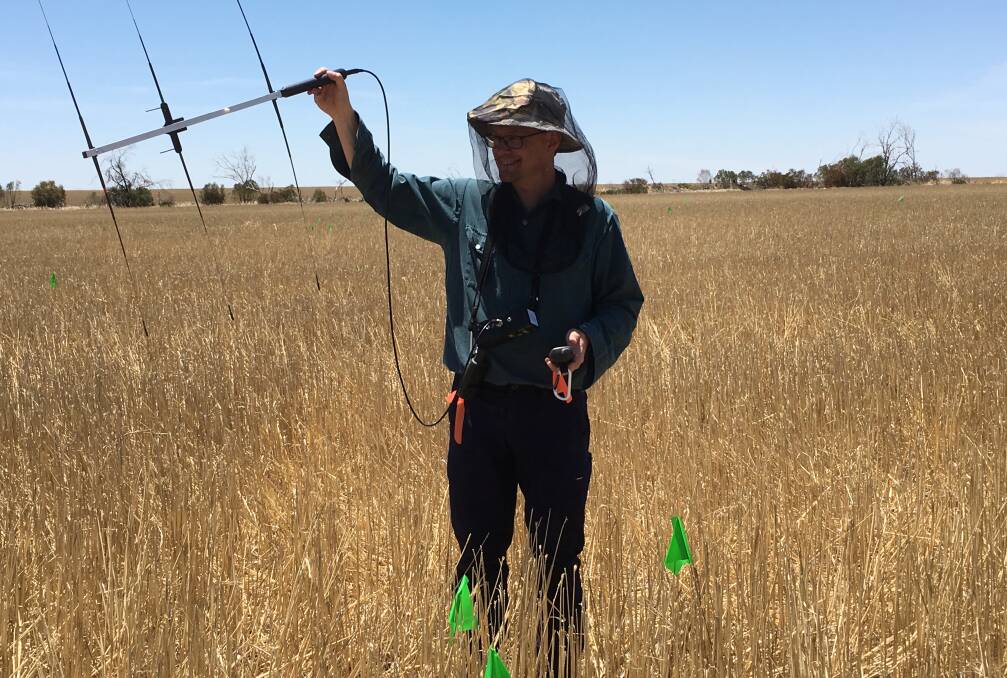 CSIRO lead scientist Dr Peter Brown tracking mouse on a wheat field in NSW. Picture: CSIRO