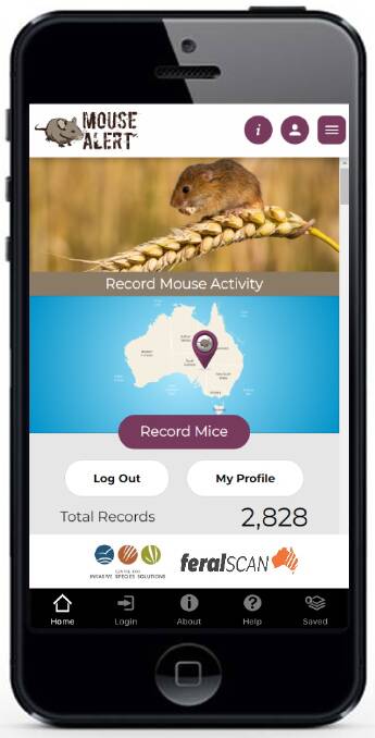 The MouseAlert app created by the CSIRO to assist farmers detect a mouse plague. Picture: CSIRO