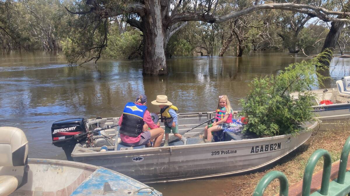 Willanthery locals Ellie, Hamish and Annie Storrier load up a Christmas tree to bring home across the floodwaters. Picture supplied
