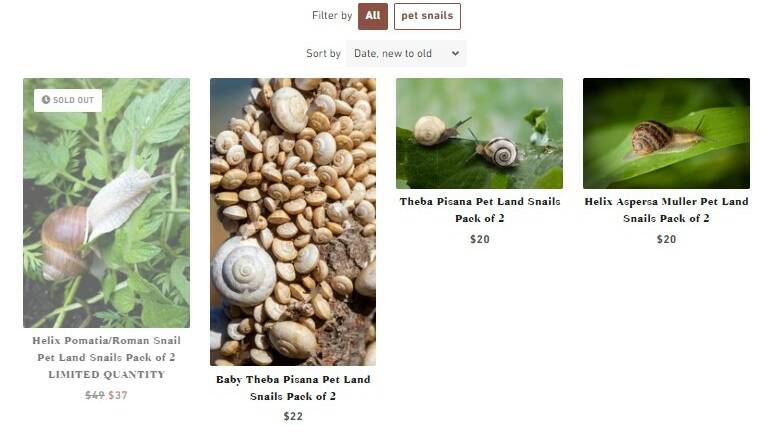 Pet land snails advertised online with shipping to Australia taking 10-25 business days.