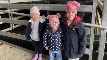 THE FUTURE: Koch sisters Molly, 3, Evie, 2, and Matilda, 4, Geelong, enjoyed the day and kept an eye on the sale.
