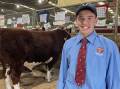 THE FUTURE: Travis Wilson, Keith SA, is enjoying helping out Morganvale Poll Herefords and hopes to show his own Hereford cattle here in the future.