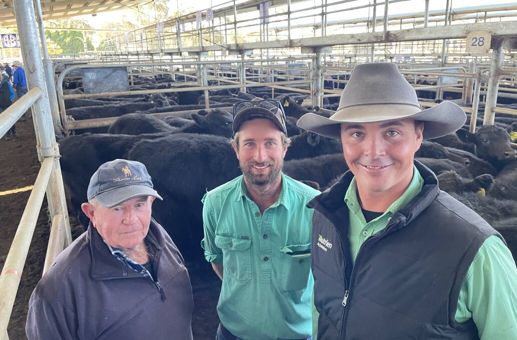 Terry and Matthew Fahey, Wongalea Pastoral Company, Mt Mitchell, with Nutrien Armidale's Cody Van Heerwaarden and some of the 66 steers sold. Pictures by Simon Chamberlain
