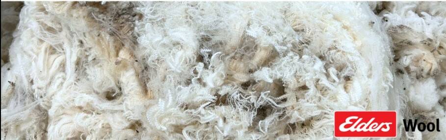 The Sweeneys 12.9-micron wool that made 12,600 c/kg. Picture supplied by Elders Wool