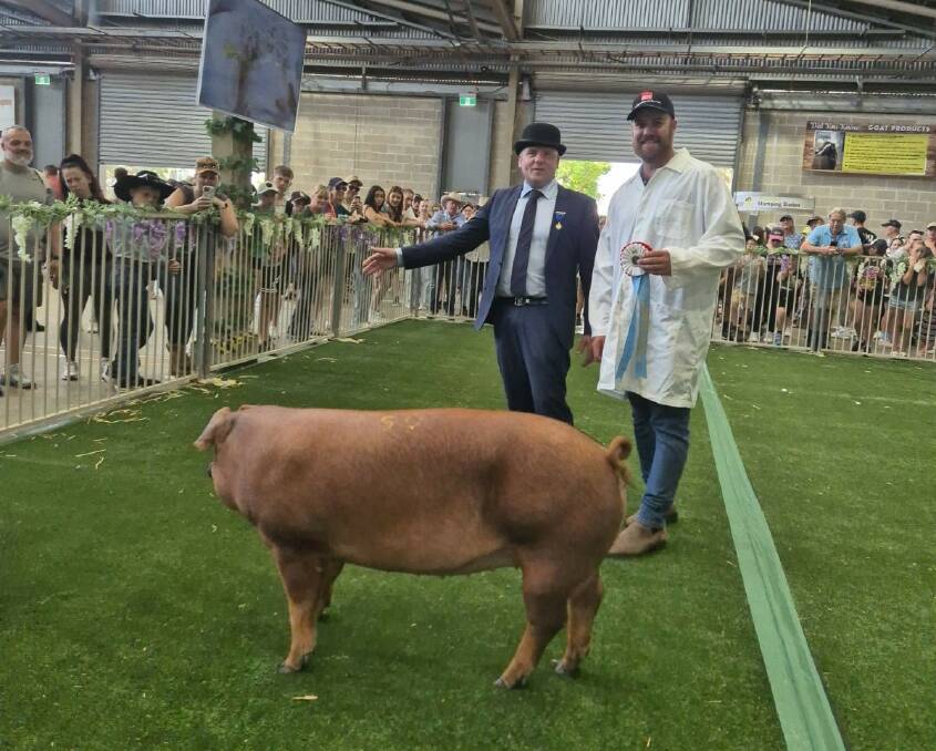 Nigel Overend of Deerpark Pedigree Pigs in Northern Ireland judged the pig section and is pictured with Eli Bailey, Dewsbury Park, Goulburn, with the supreme Duroc exhibit. Picture by Shaun Blenkiron