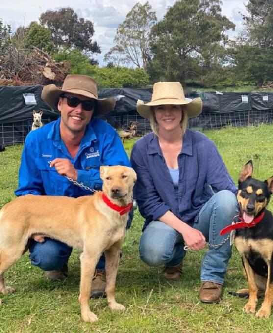 Sale record-priced dog, Mandalay Tex with Jeremy and Annie Grills, with Eaglehawk Jenny, which sold for $16,000.
