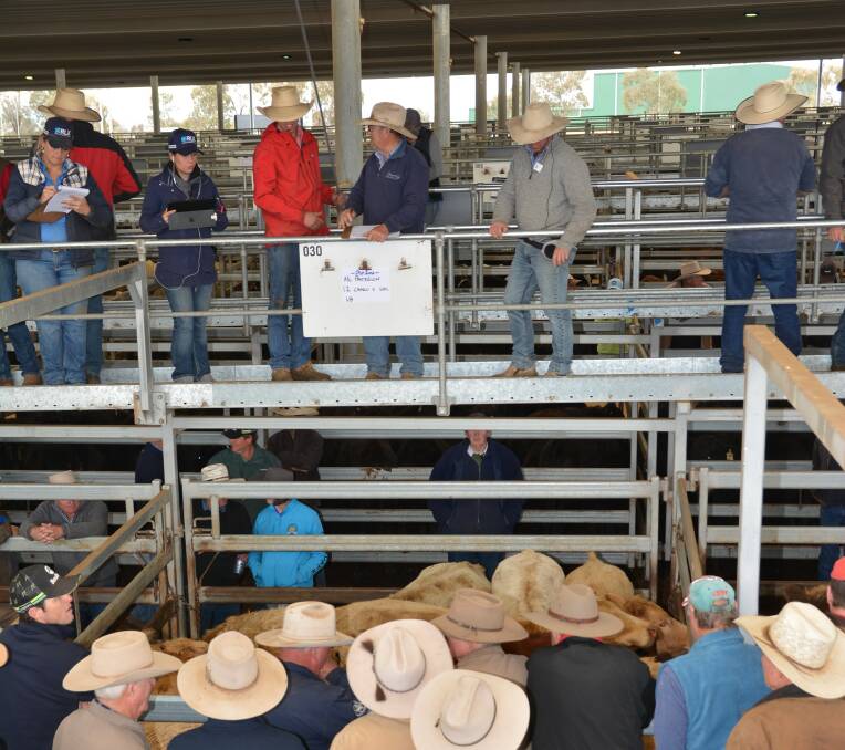 Prices for all descriptions of cattle eased at Tamworth's July 1 store sale.