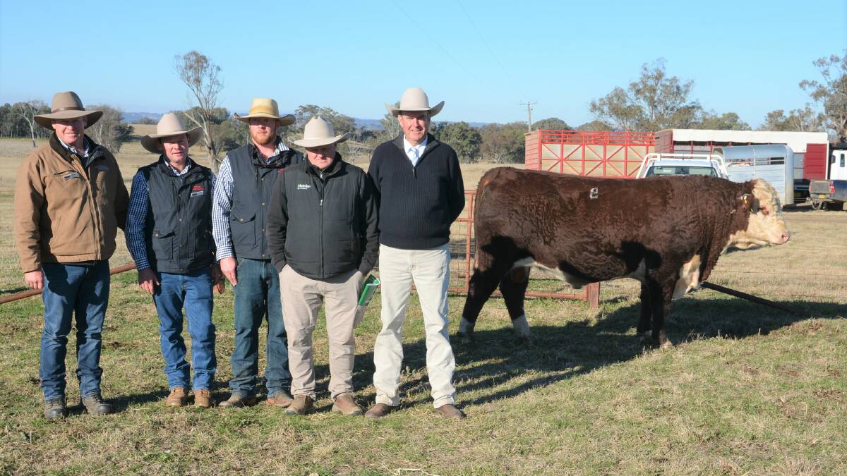 Stephen, Josh and Nick Peake, Bowen Stud, Barraba, Nutrien Ag Solutions' livestock & stud stock manager, John Settree and auctioneer Paul Dooley with the $140,000 bull Bowen Soloman. Pictures by Simon Chamberlain