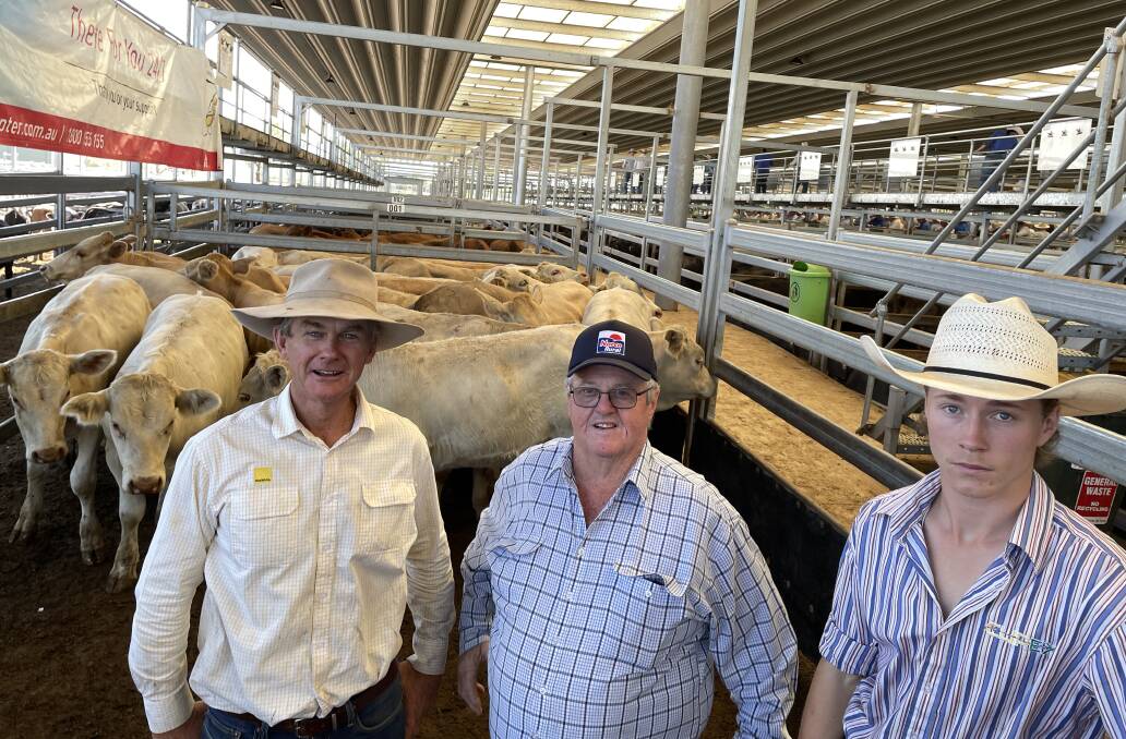 Inspecting a pen of Charolais steers that made $1200 for Bruce Wilson, Glencoe, Gloucester was the auctioneer, Scott Simshauser, Ray White Rural, Tamworth. Also pictured is retired stock agent of 48 years, John O'Brien, Wauchope and Ray White Rural work experience student, Dempsey Smith, Wallabadah.