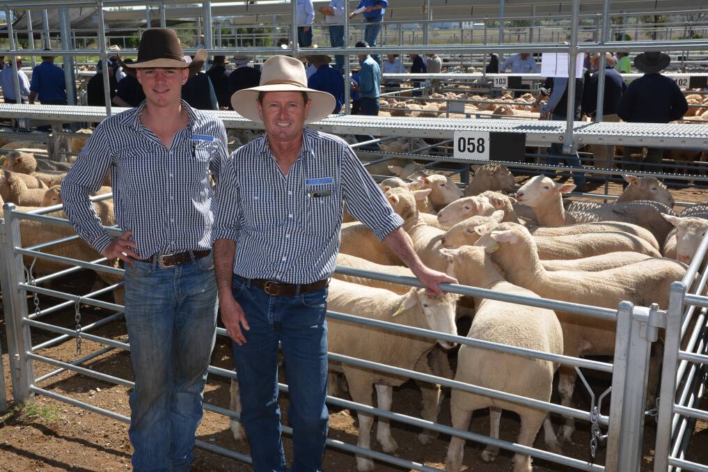 Brodie Heron and Chris Paterson, Chris Paterson Stock and Station Agents, with two pens of second-cross lambs sold by the Dunn family, Wendouree, Walcha, that made $220 a head at Monday's Tamworth sale. Photo: Simon Chamberlain