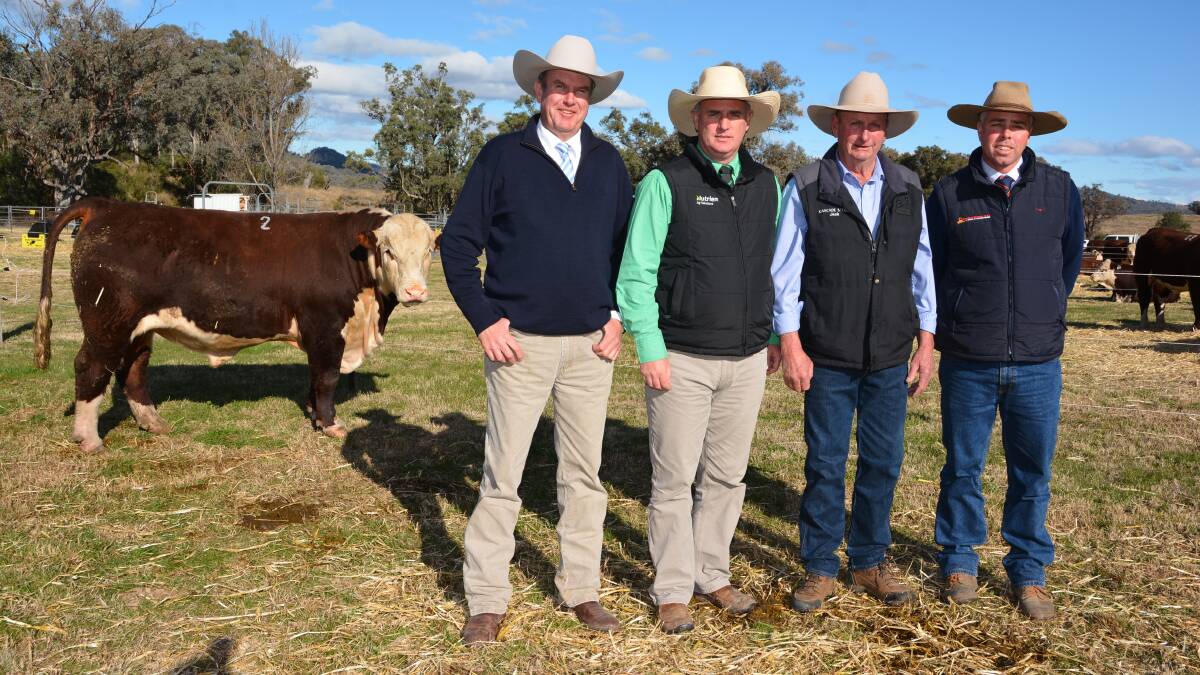 With the top-priced bull at $56,000 are the auctioneer, Paul Dooley, Peter Godbolt, Nutrien Stud Stock, Jack Smith, Cascade Poll Hereford and Angus stud and Scott Newberry, Davidson Cameron and Co, Tamworth.