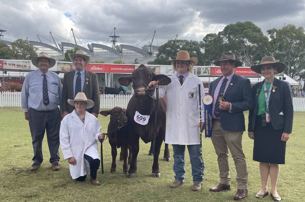 The two champions vying for the best exhibit award were a tropical-style bull and a cow that has 'done it all'.