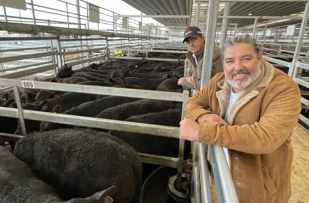 Jay McPhee (front), the owner of Maria River Cattle Company, and his manager Scott Waters at the Tamworth weaner sale. Picture by Simon Chamberlain