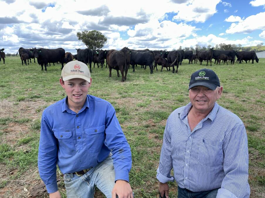 Ben and Richard Duddy, Killain Angus, Tamworth, and some of their donor females bred from genetics imported from the SAV Angus herd in North Dakota, USA. Picture by Simon Chamberlain.