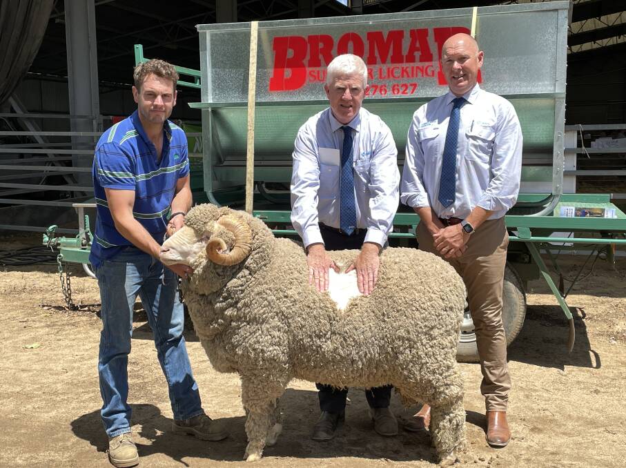 Alex Merriman, Merryville stud, Boorowa, with John Croake, AWN Tamworth and Geoff Rice, AWN Langlands Hanlon, Parkes. Pictures by Simon Chamberlain 