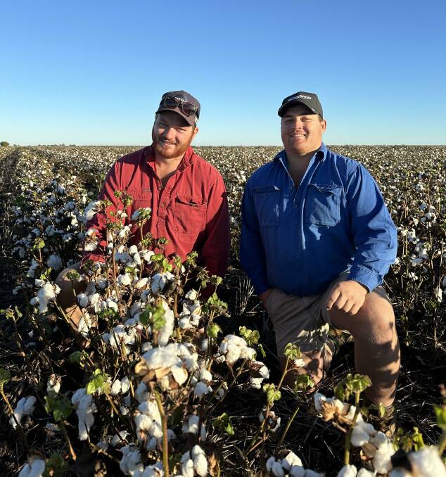 Regional winners and finalists announced for the 2023-24 FastStart Cotton Establishment Awards.