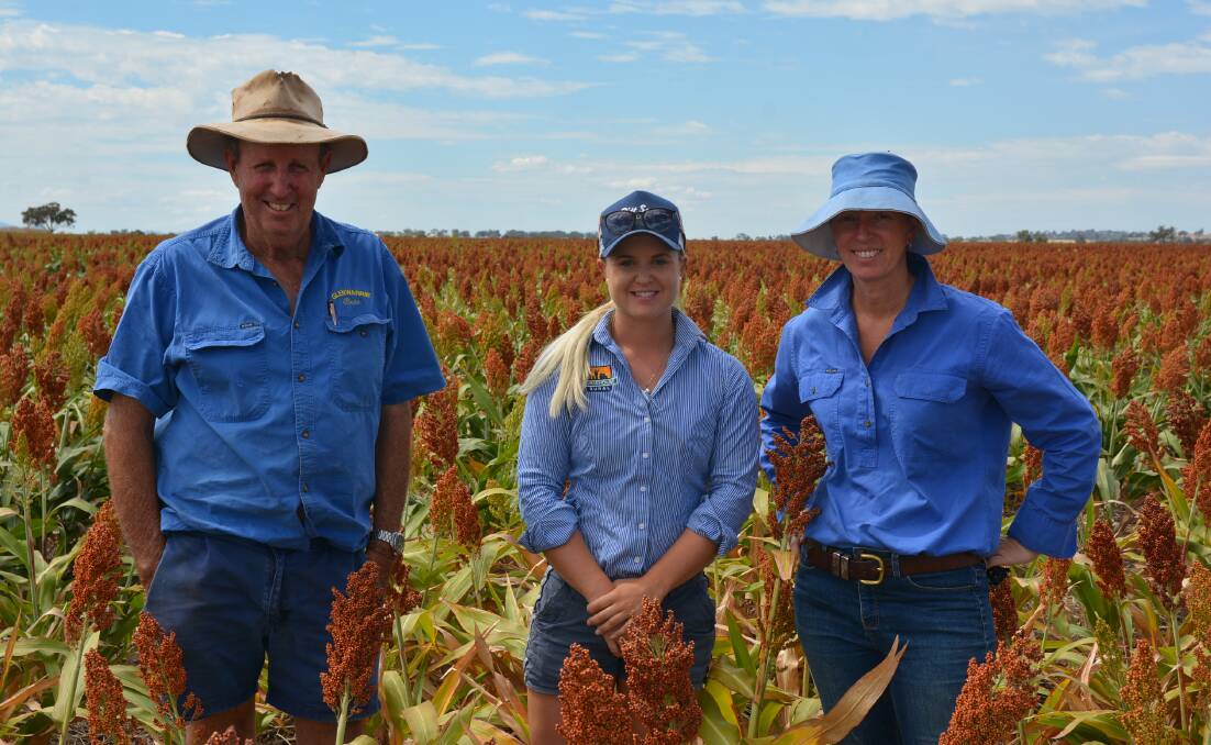 Bede Burke, Glenwarrie Farms, Winton, Pursehouse Rural agronomist Lucy Powell, and DPI sorghum specialist Loretta Serafin in Mr Burke's Taurus sorghum crop. Picture by Simon Chamberlain