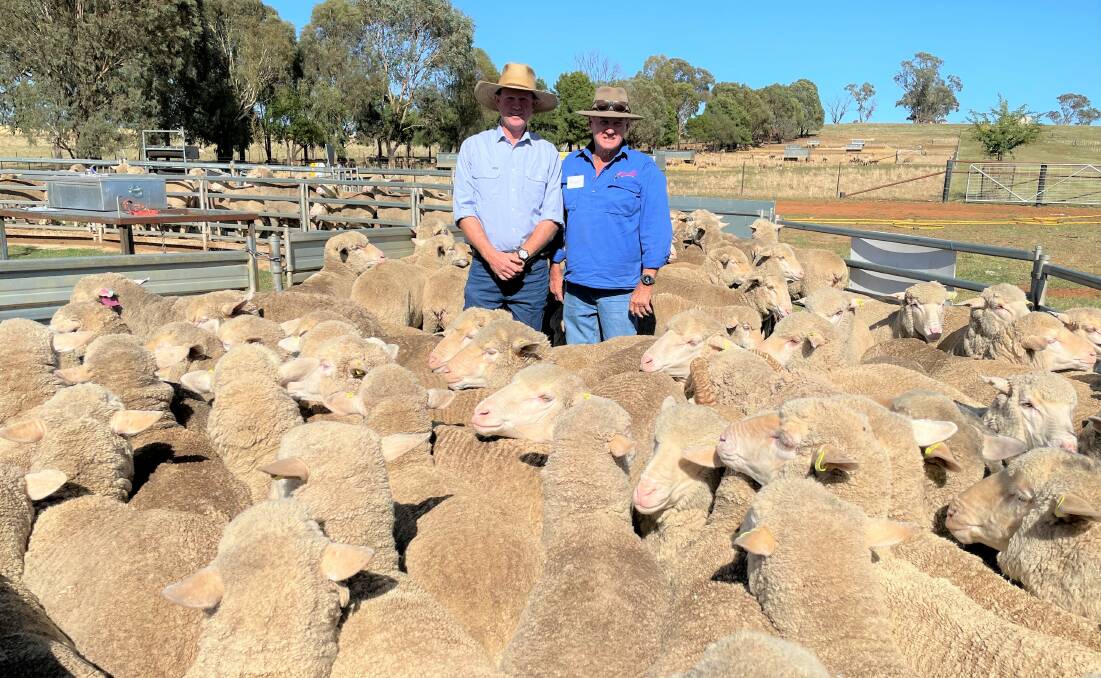 Boomey Park flock manager, Gus Shannon, with his ram suppliers Russell Jones, Darriwell stud, Trundle, among the competition-winning flock ewes. Pictures by Mark Griggs