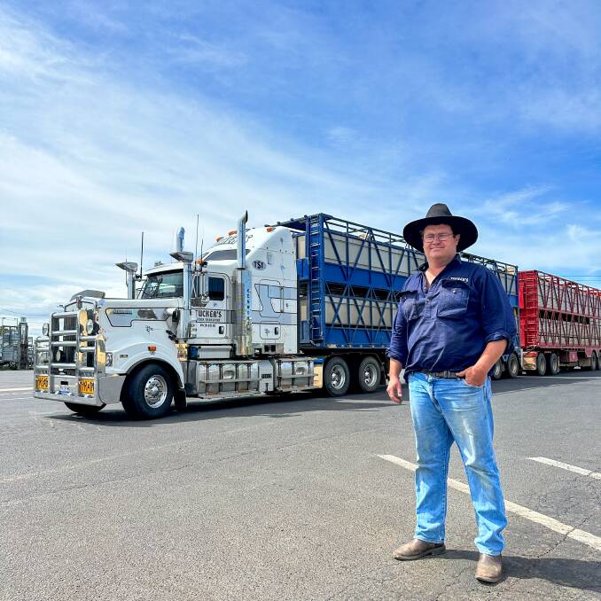 Ian Tucker, Tucker Stock Transport, Dubbo, is an independent carrier running two transports. Picture by Elka Devney.