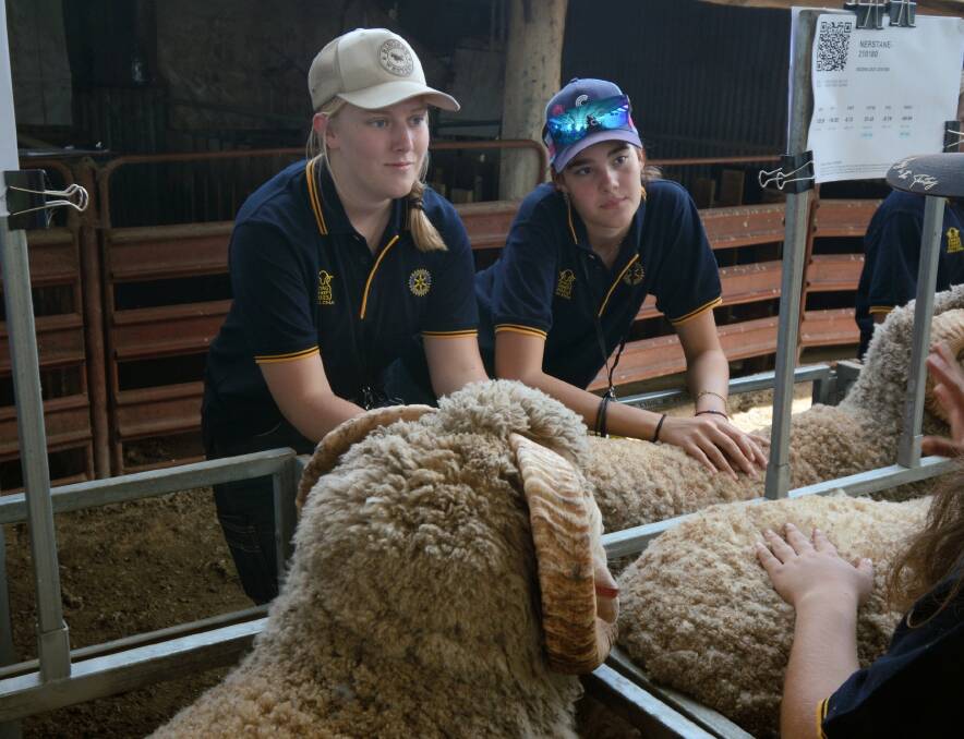 Zoe Pritchard, Muswellbrook High School and Sophie Gardner, Macintyre High, Inverell in the sire selection session.