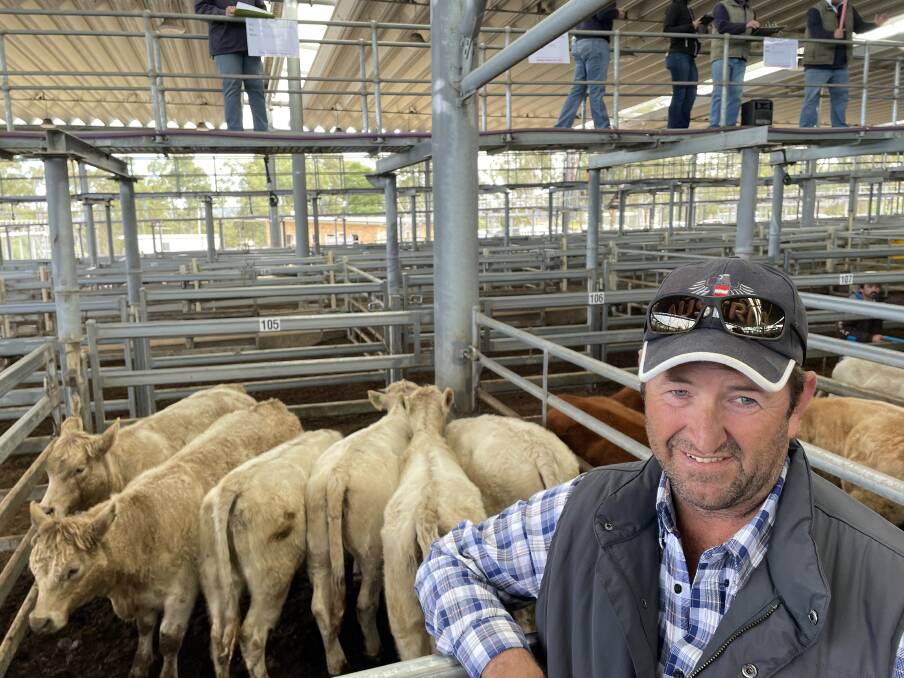 Nigel Richards, Green Mount, Goorangoola, sold this pen of Charolais/Angus cross heifers, averaging 317kg, for $830 a head. Pictures by Simon Chamberlain