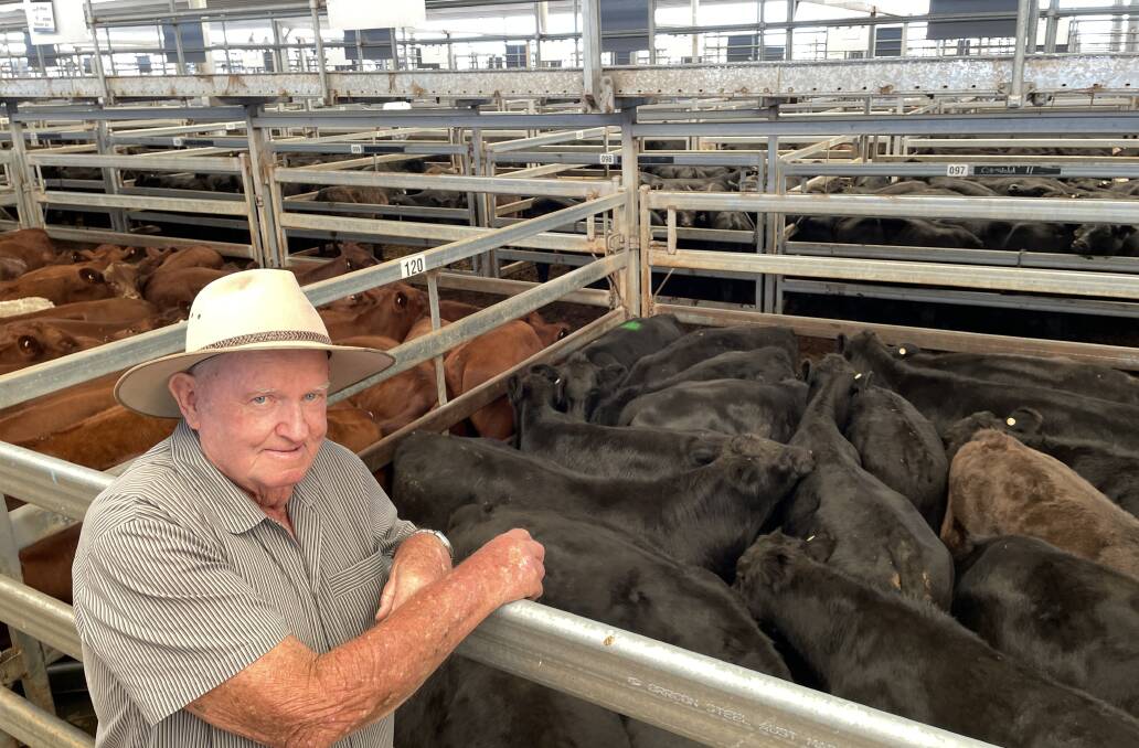 Bob Kennedy, Avonlea, Duri sold a pen of 17 Angus steers for $1030 at the Tamworth Tag A Weaner store sale.