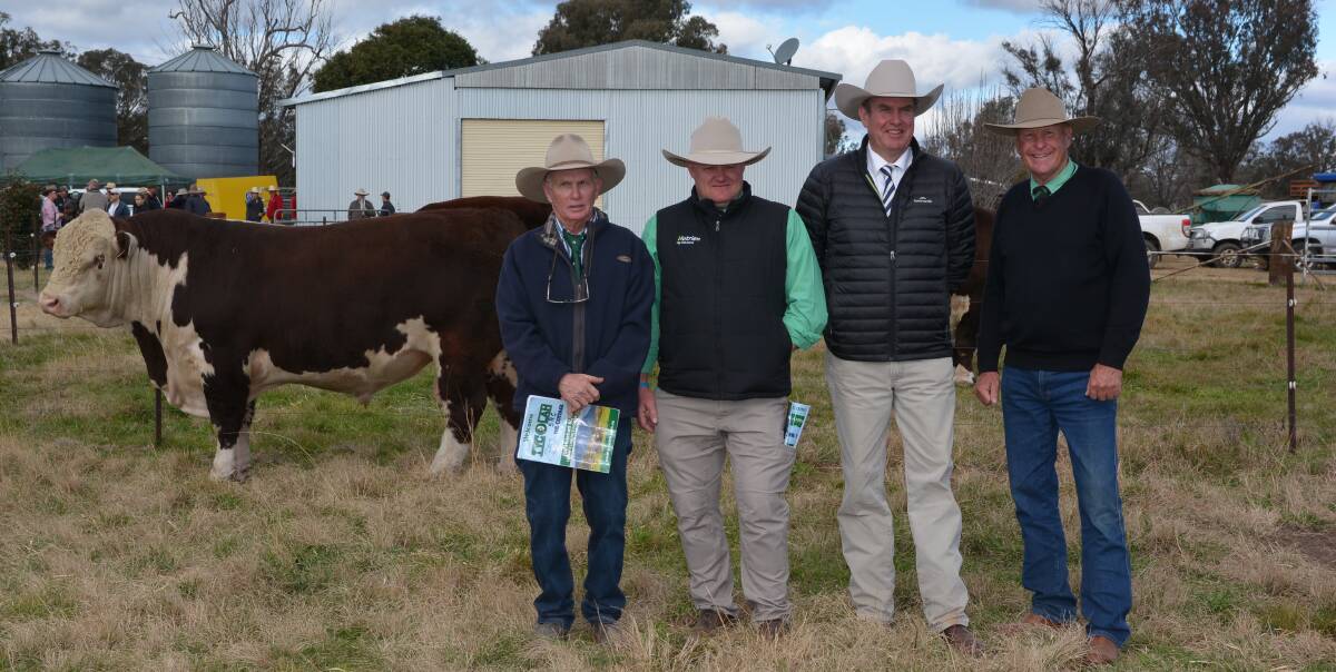 Tycolah Poll Herefords' co-principal, Steve Crowley with Nutrien's divisional livestock and stud stock manager John Settree, auctioneer Paul Dooley and Nutrien's Howard Carter, Barraba.